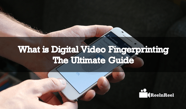 What is Digital Video Fingerprinting - The Ultimate Guide