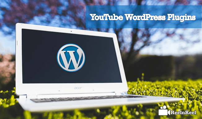 YouTube WordPress Plugins