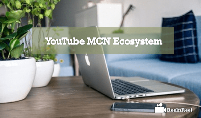 YouTube Multi-Channel Network