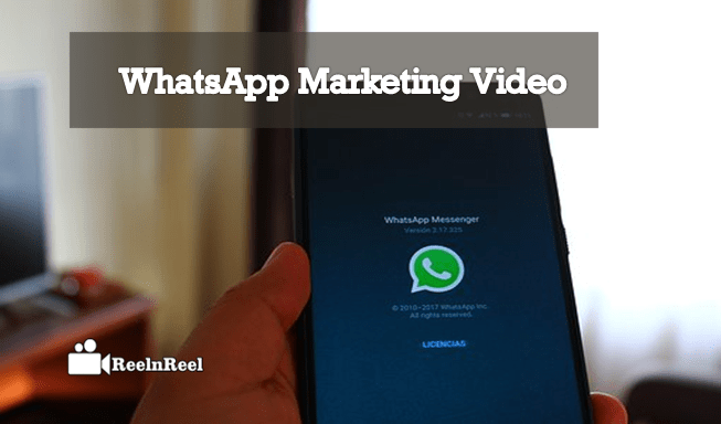 WhatsApp Marketing Video
