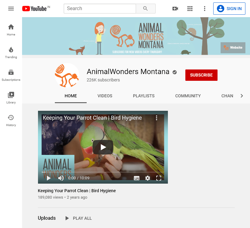 150+ The Best Educational YouTube Channels 416 Anmlwndrs