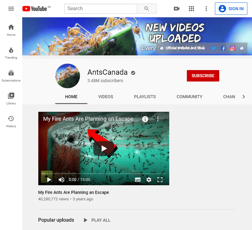 150+ The Best Educational YouTube Channels 415 AntsCanada