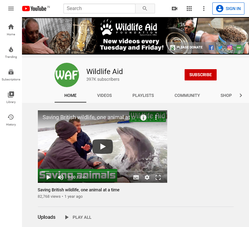 150+ The Best Educational YouTube Channels 412 TheWildlifeAidTV