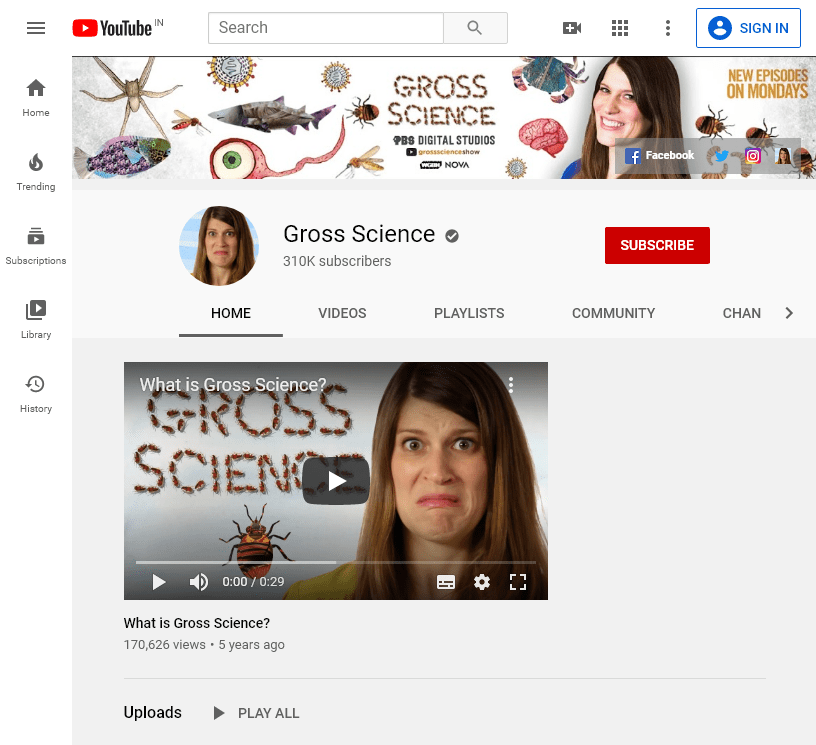 150+ The Best Educational YouTube Channels 385 grossscienceshow
